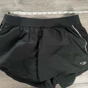 Icebreaker Shorts Size L